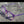 Load image into Gallery viewer, TN Kids Lilac (Sunlight Transformer)